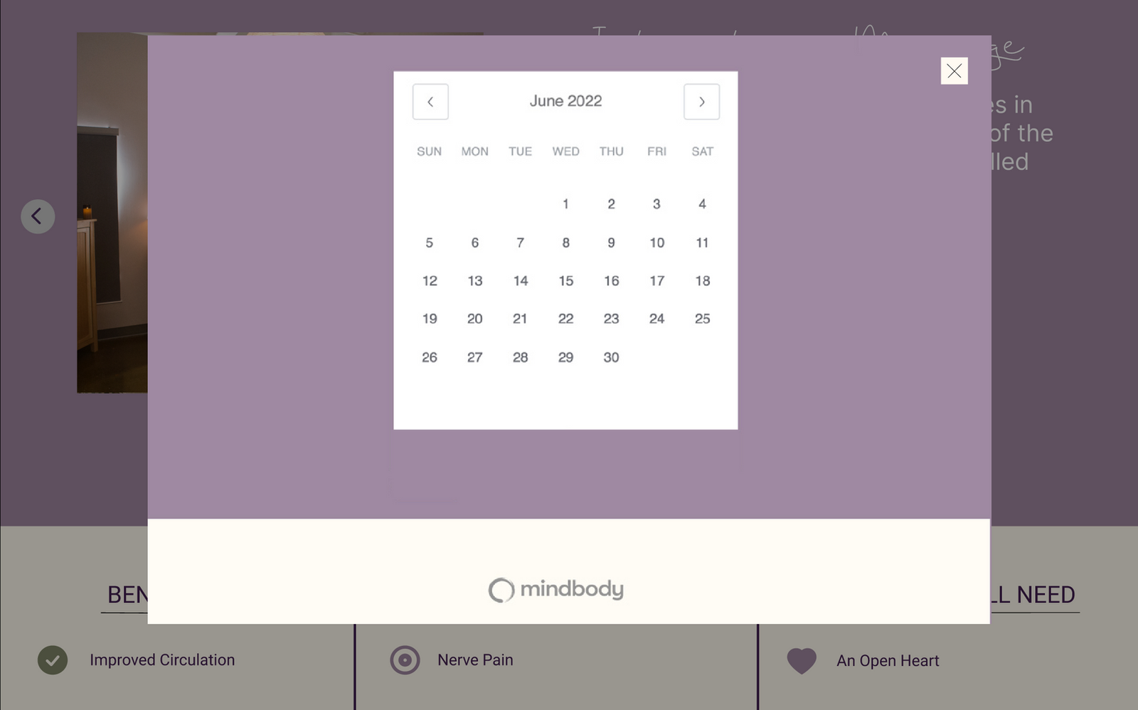Larger booking calendar showing practitioner availability